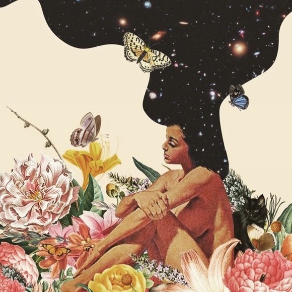 Sonoma Pants - NWT Sonoma Blue High Rise Denim Jean Shorts Size 16W and 18W